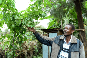 Farmer Bernard Mburu in Kirinyaga County in Kenya